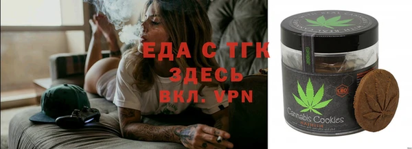хмурый Арсеньев