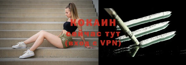 хмурый Арсеньев