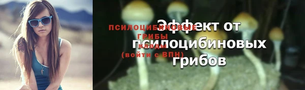 хмурый Арсеньев