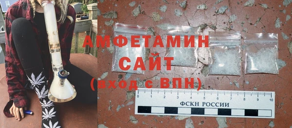 хмурый Арсеньев