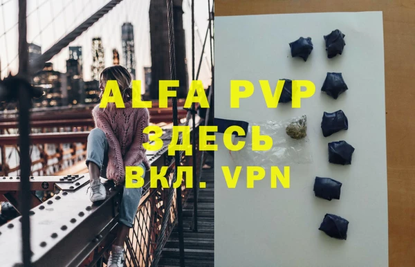 гидра Карпинск