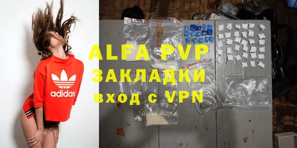 хмурый Арсеньев