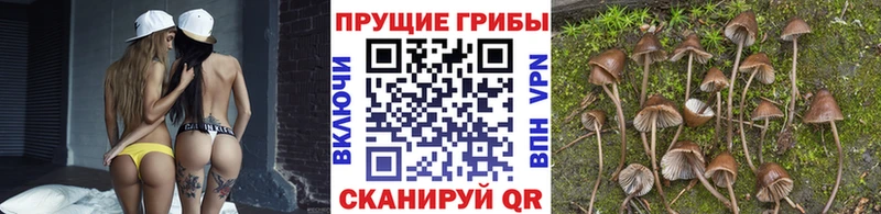 мега ТОР  Менделеевск  Галлюциногенные грибы MAGIC MUSHROOMS 