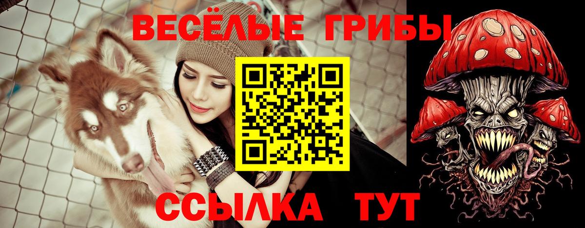 Менделеевск  Псилоцибиновые грибы Psilocybine cubensis  Галлюциногенные грибы мухоморы  Вход с VPN 