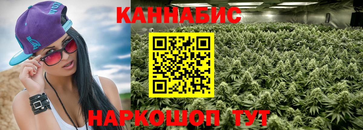 Каннабис план  Вход с VPN  Менделеевск  Шишки марихуана сатива 